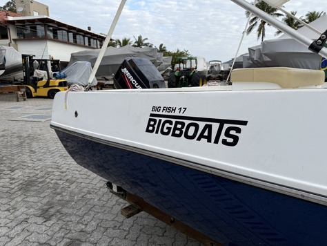 BIG FISH 170