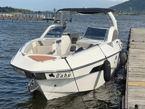 FS 290 WIDE
