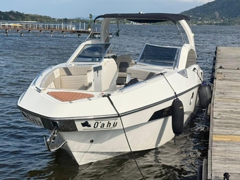 FS 290 WIDE