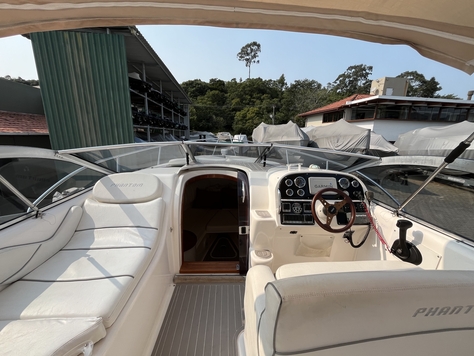 PHANTOM 300
