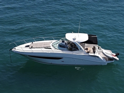 SEA RAY 395